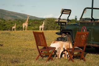 hunting safari accommodation in south africa